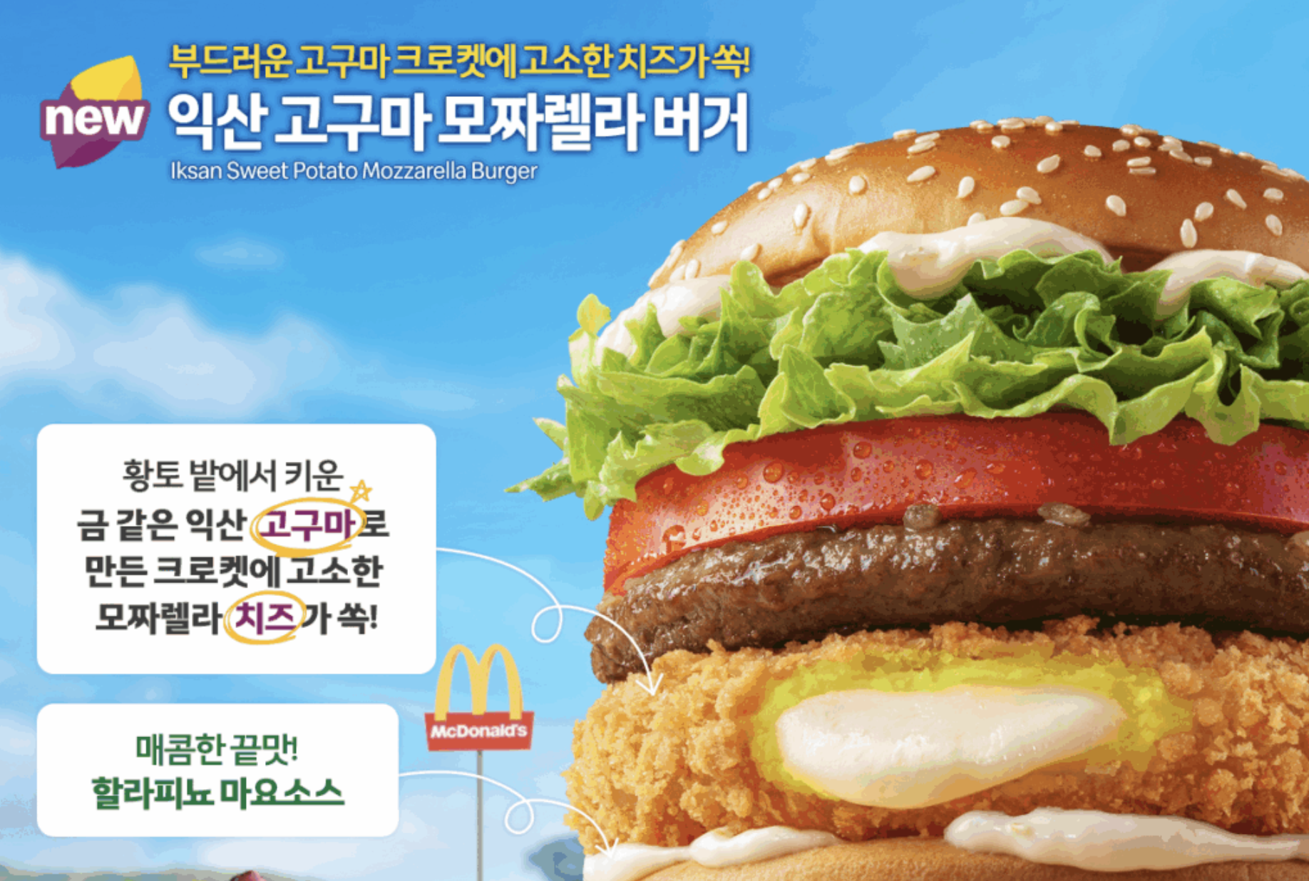 오늘의 인사이트 썸네일